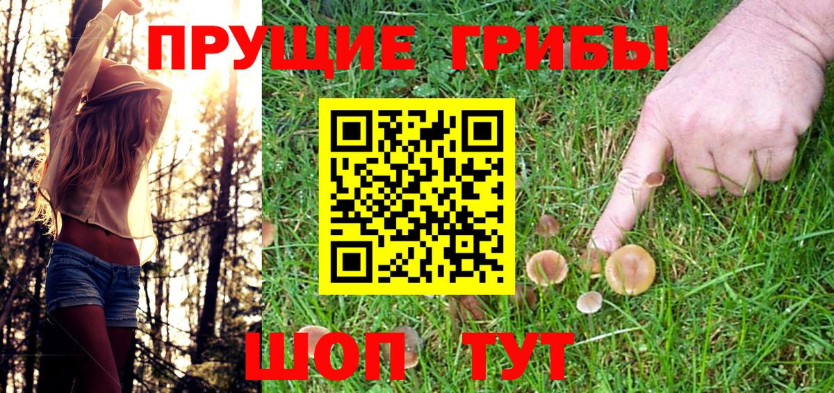 Галлюциногенные грибы Cubensis Лесной