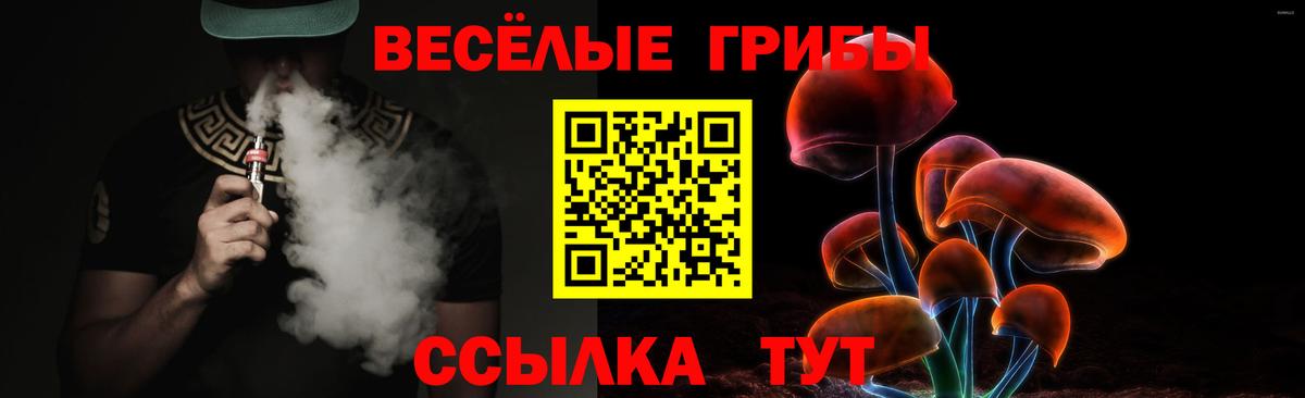 купить наркоту  Вход с VPN  Лесной  Галлюциногенные грибы Cubensis 